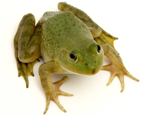 Nieznane