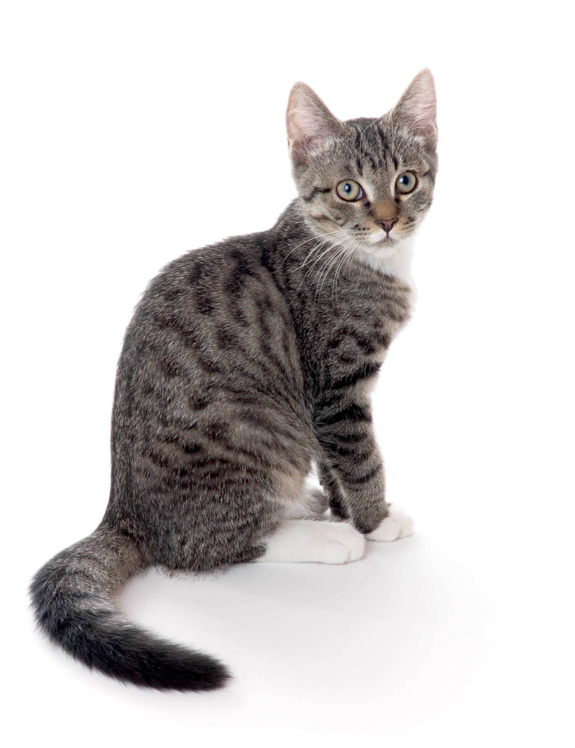 Fotolia