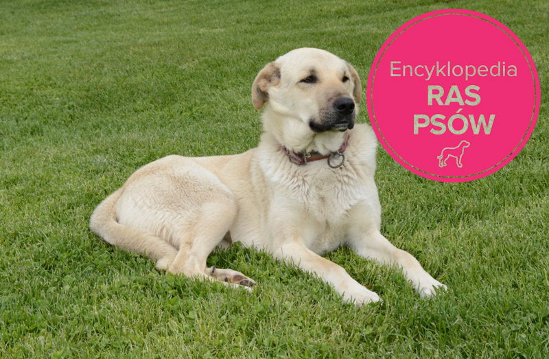 Fotolia/Polki