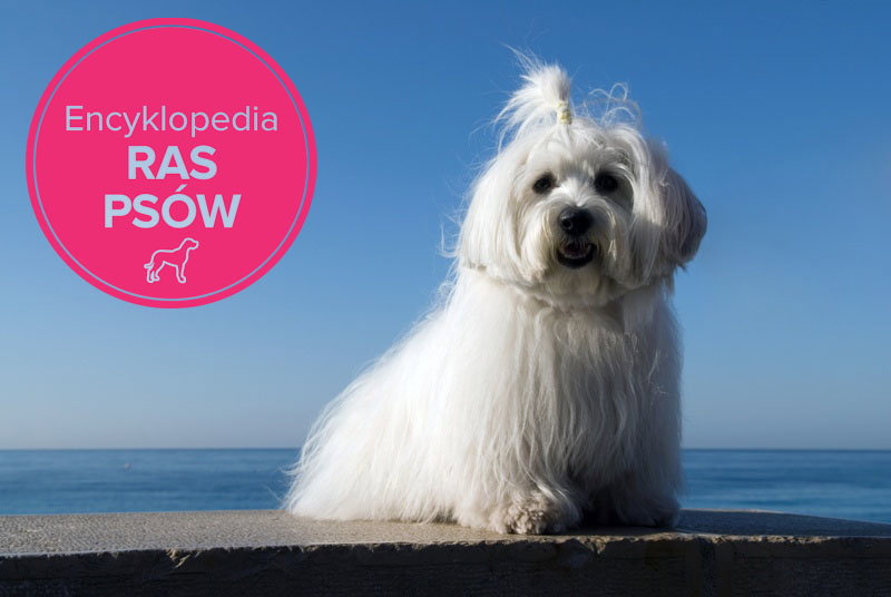 Fotolia/Polki