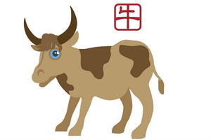 Fotolia
