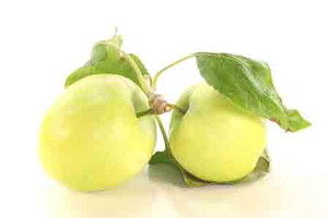 Nieznane