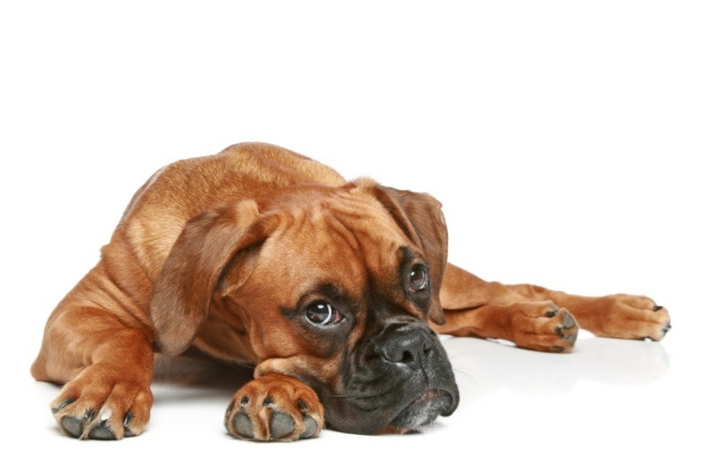 Fotolia