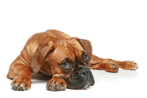 Fotolia