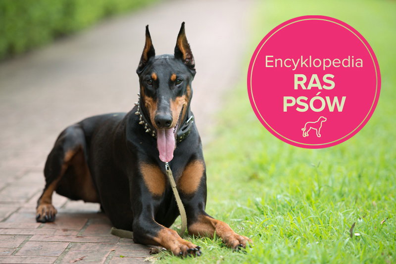 Fotolia/Polki
