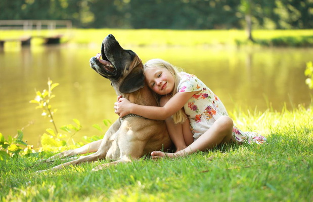 dog-niemiecki-2435209-a32c4fa