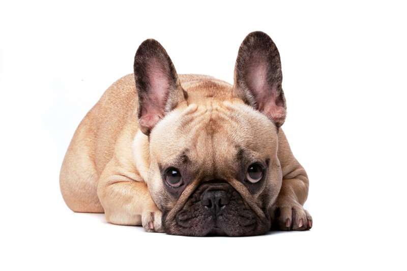 Fotolia
