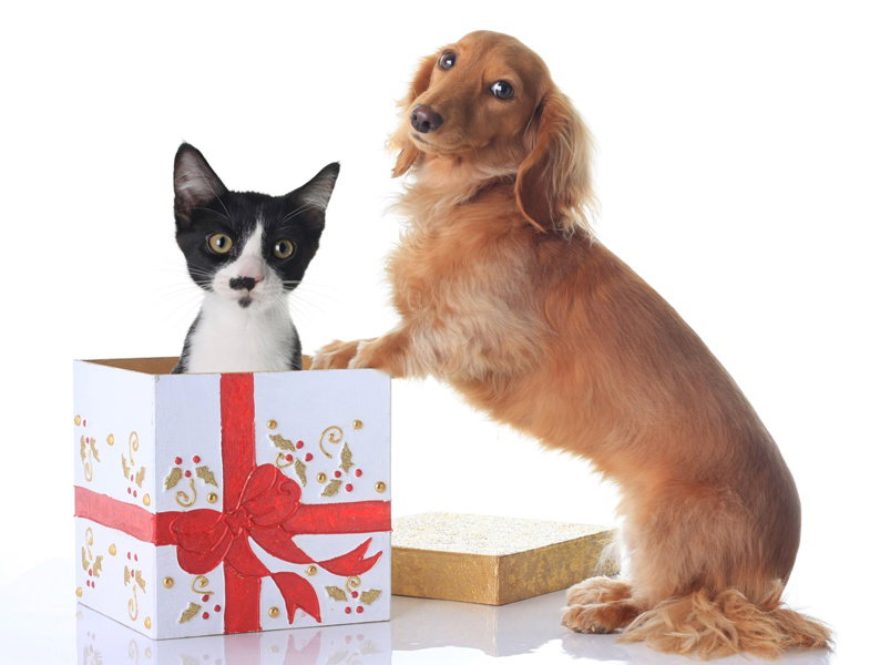 Fotolia