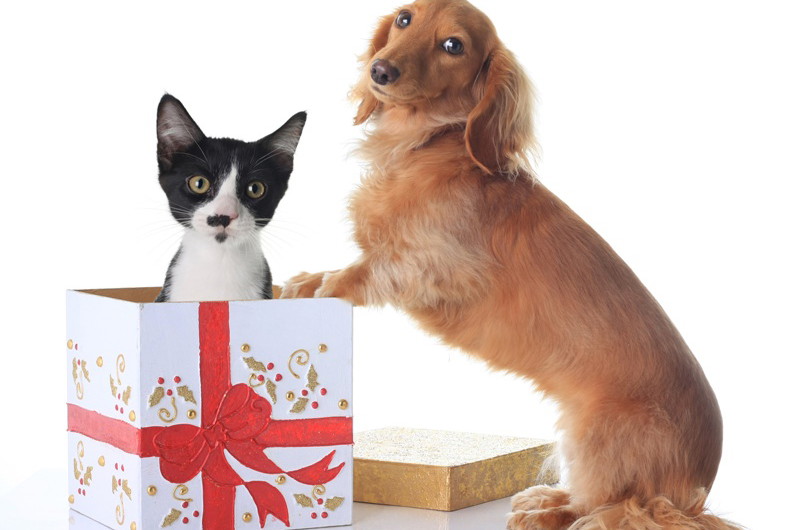 Fotolia