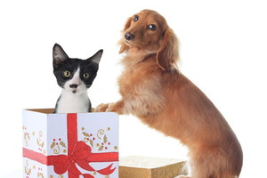 Fotolia