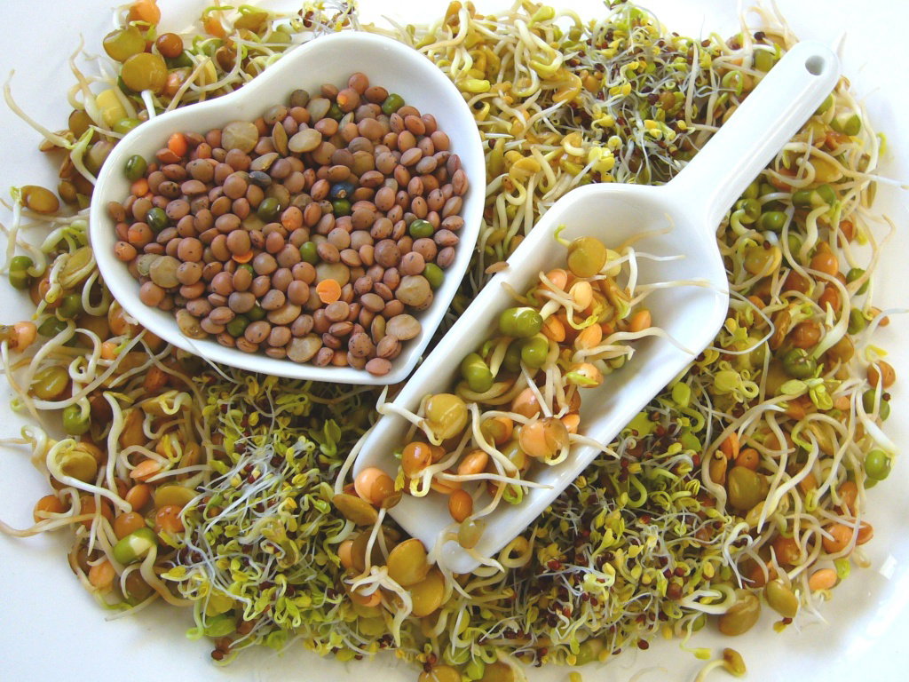 Nieznane