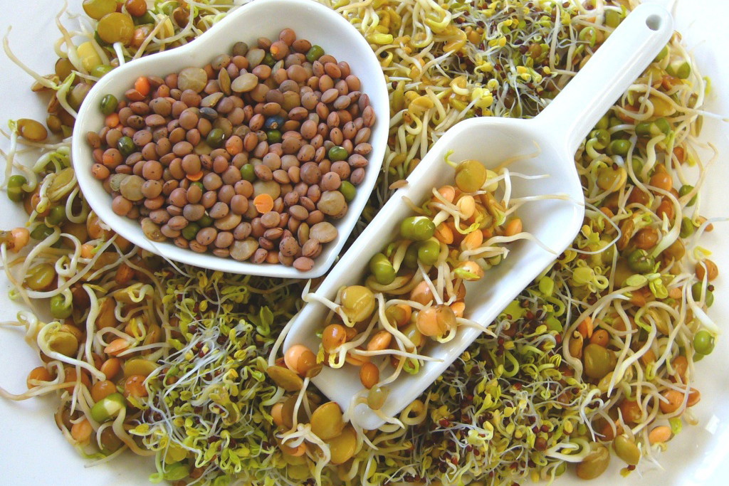 Nieznane