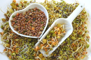 Nieznane