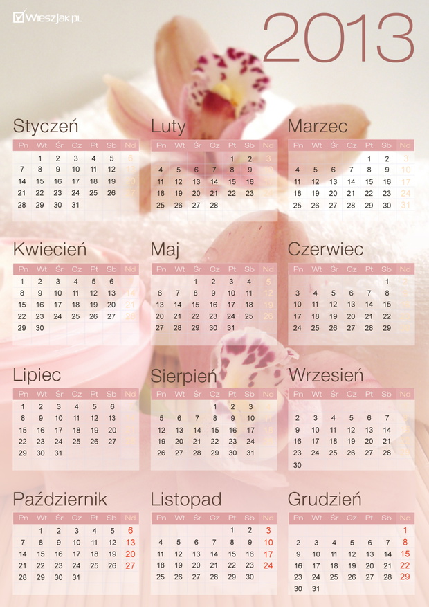 kalendarz2013zkwiatem-e40b21e