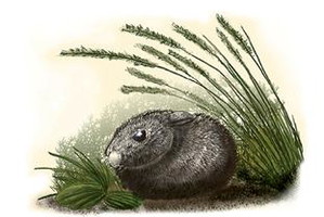 Nieznane