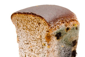 Pleśń na żywności – groźna czy nie?