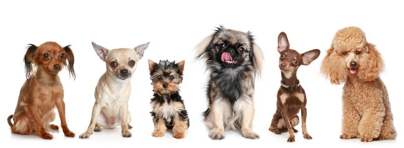Fotolia