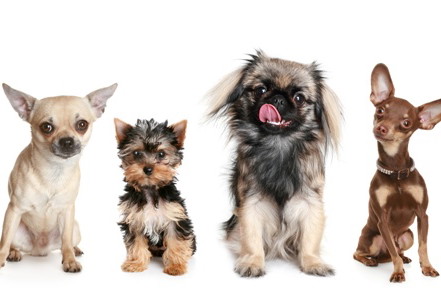 Fotolia