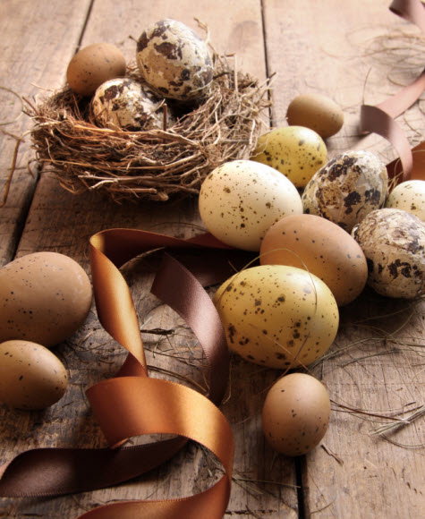 fot. Fotolia