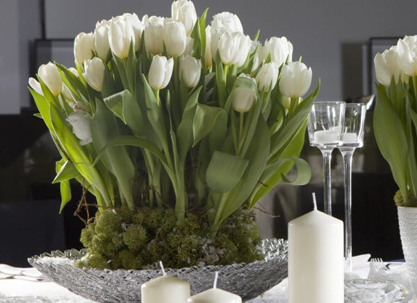 tulipany2-cdf3900
