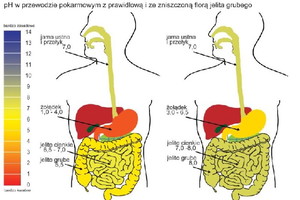 Nieznane