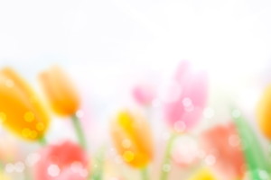 Fotolia