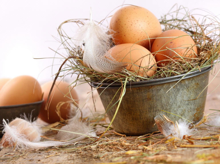 fot. Fotolia