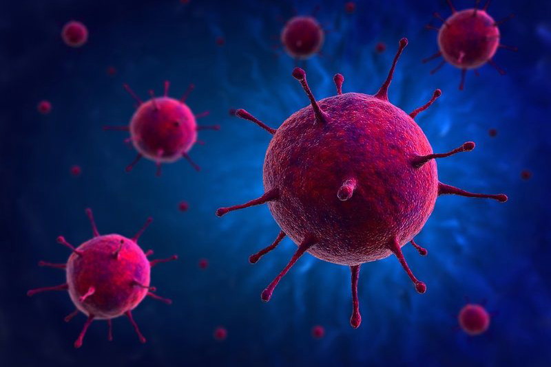 immunoterapia