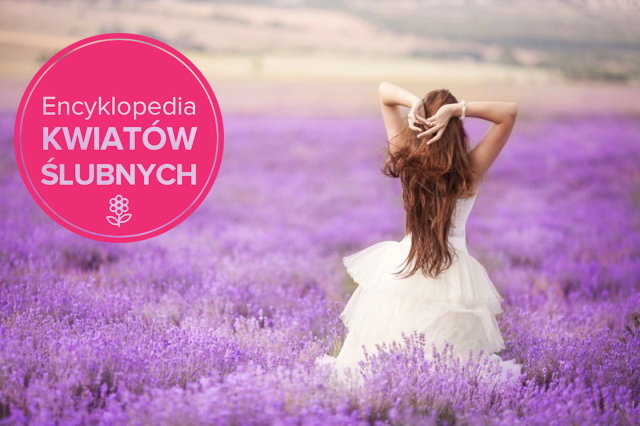 Fotolia/Polki