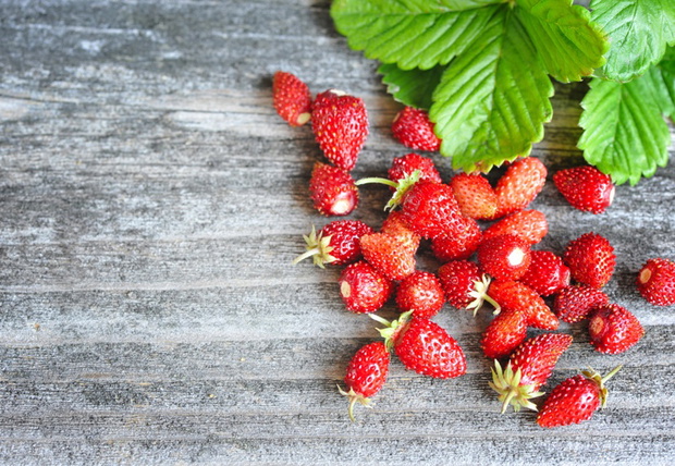 Fresh wild strawberries on an old wooden table