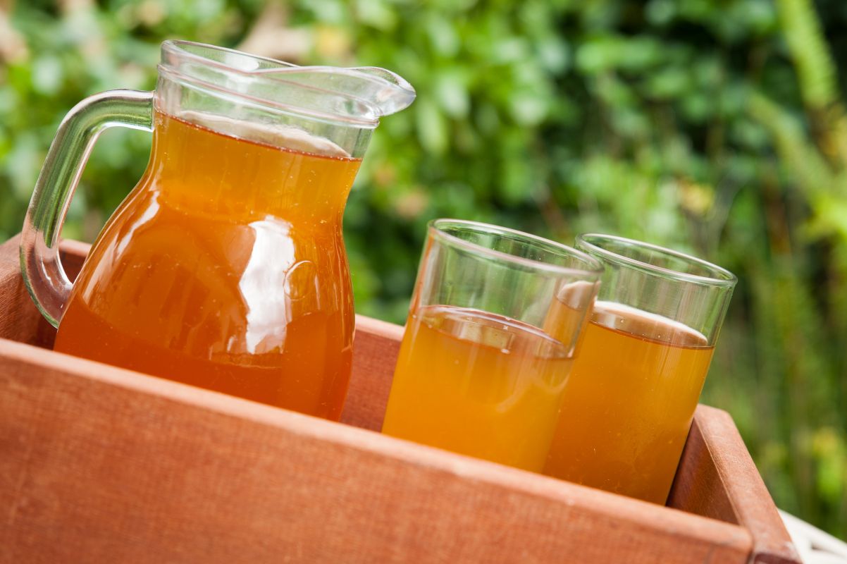 Kombucha - co to jest i jak działa