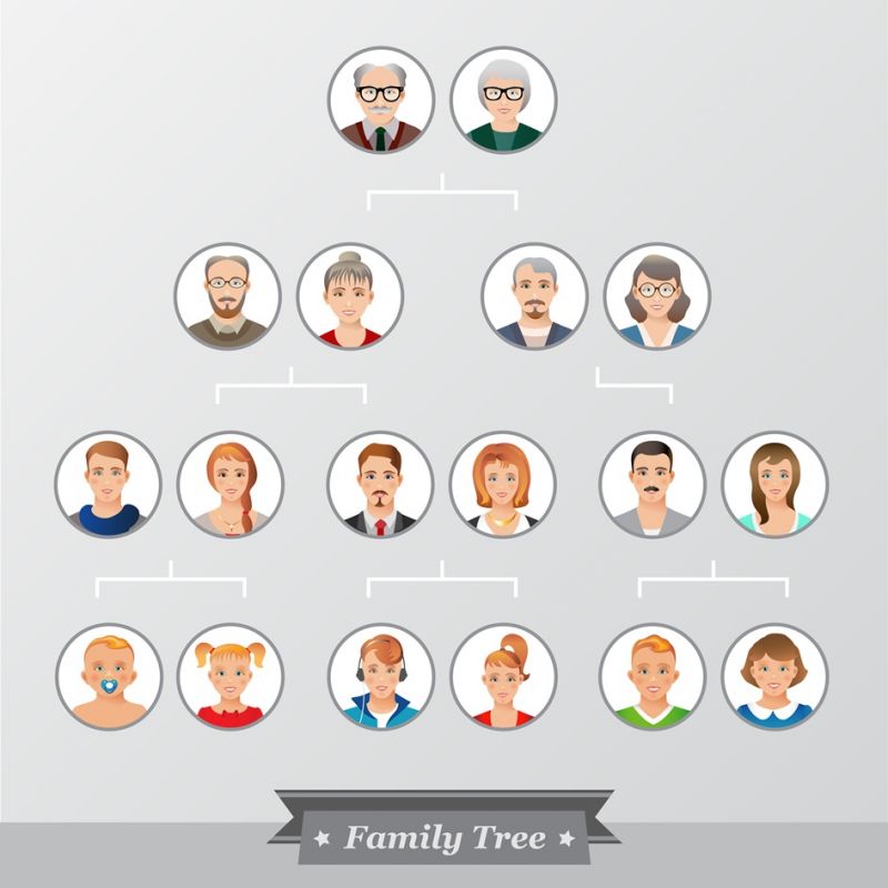 drzewo genealogiczne