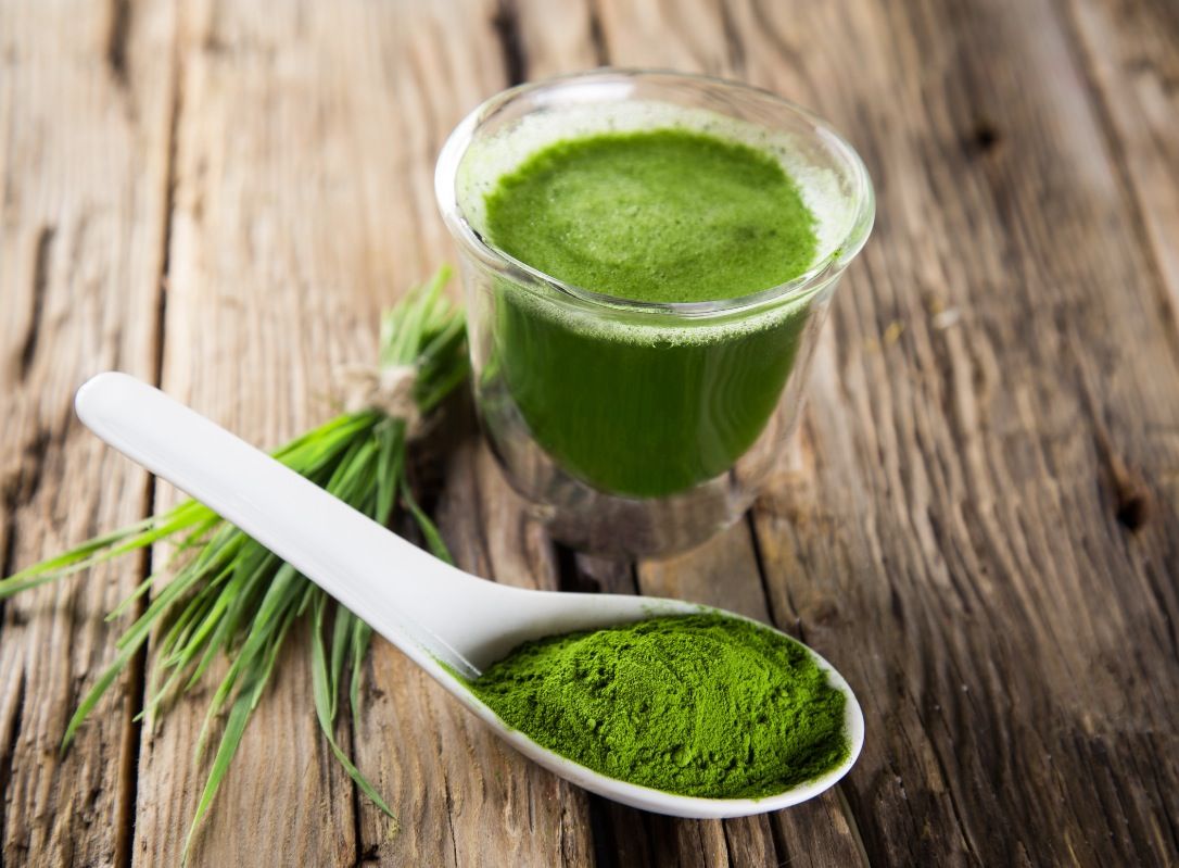 Chlorella w diecie - 7 najważniejszych korzyści