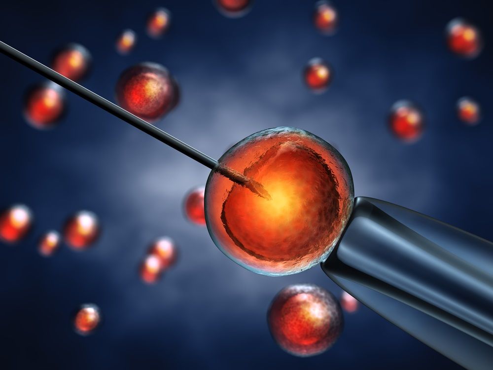 in vitro