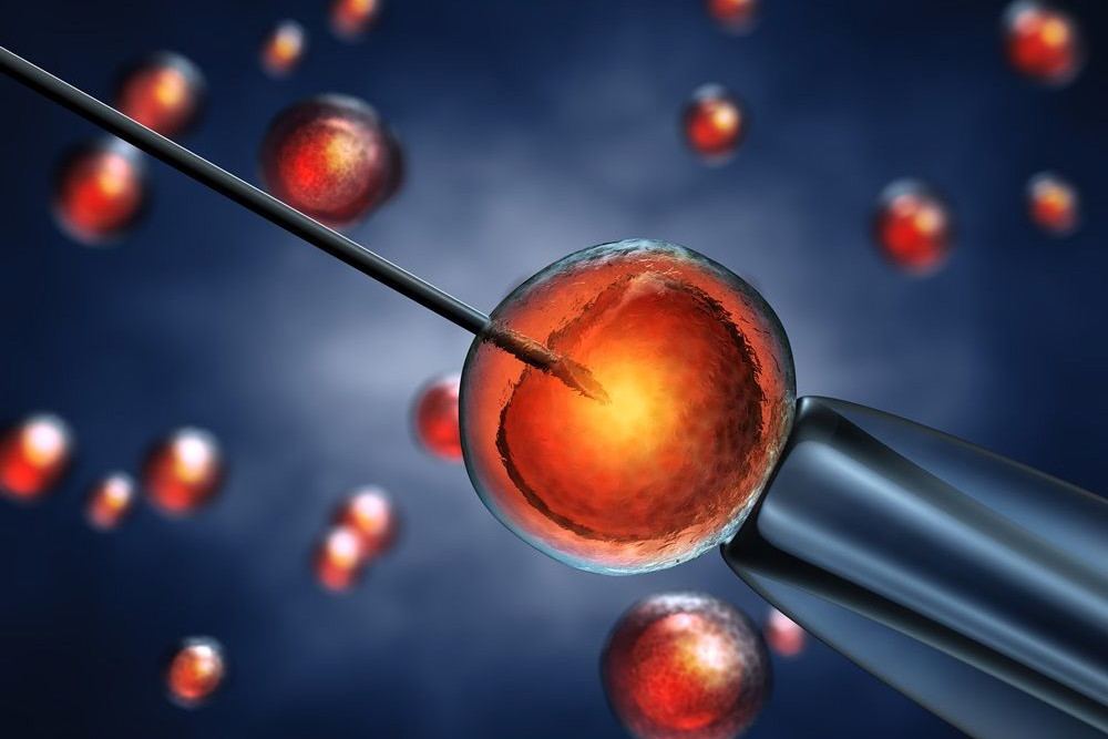 in vitro