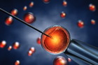in vitro