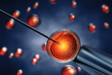 in vitro