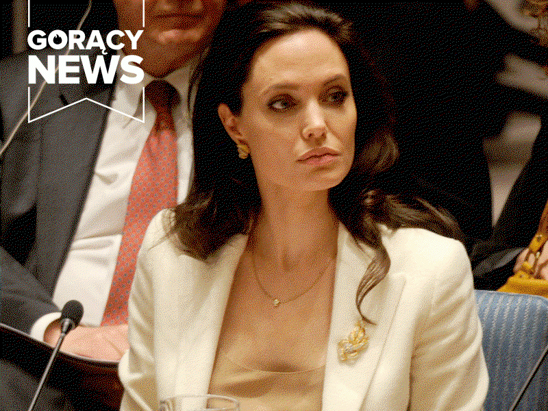 Angelina Jolie profesorem