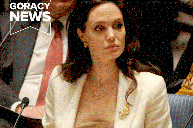 Angelina Jolie profesorem