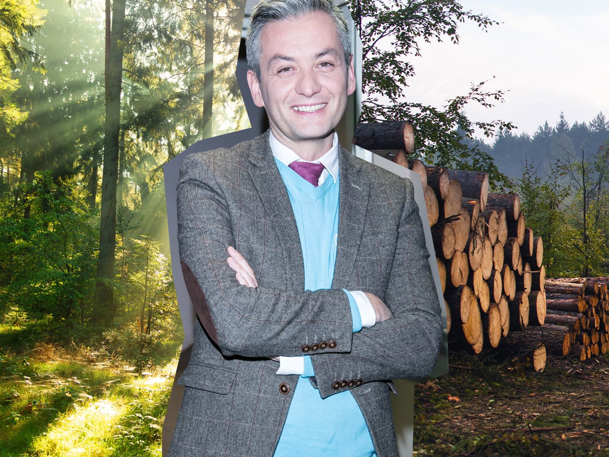 Robert Biedroń a lasy