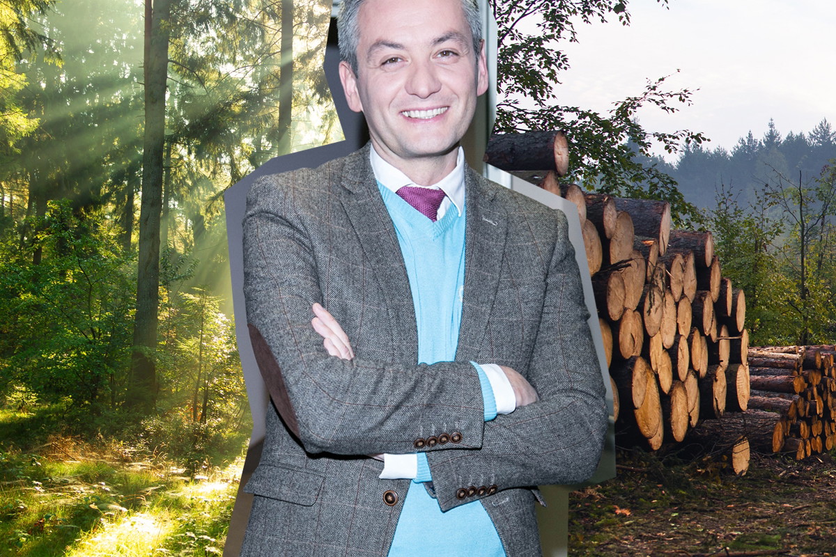 Robert Biedroń a lasy