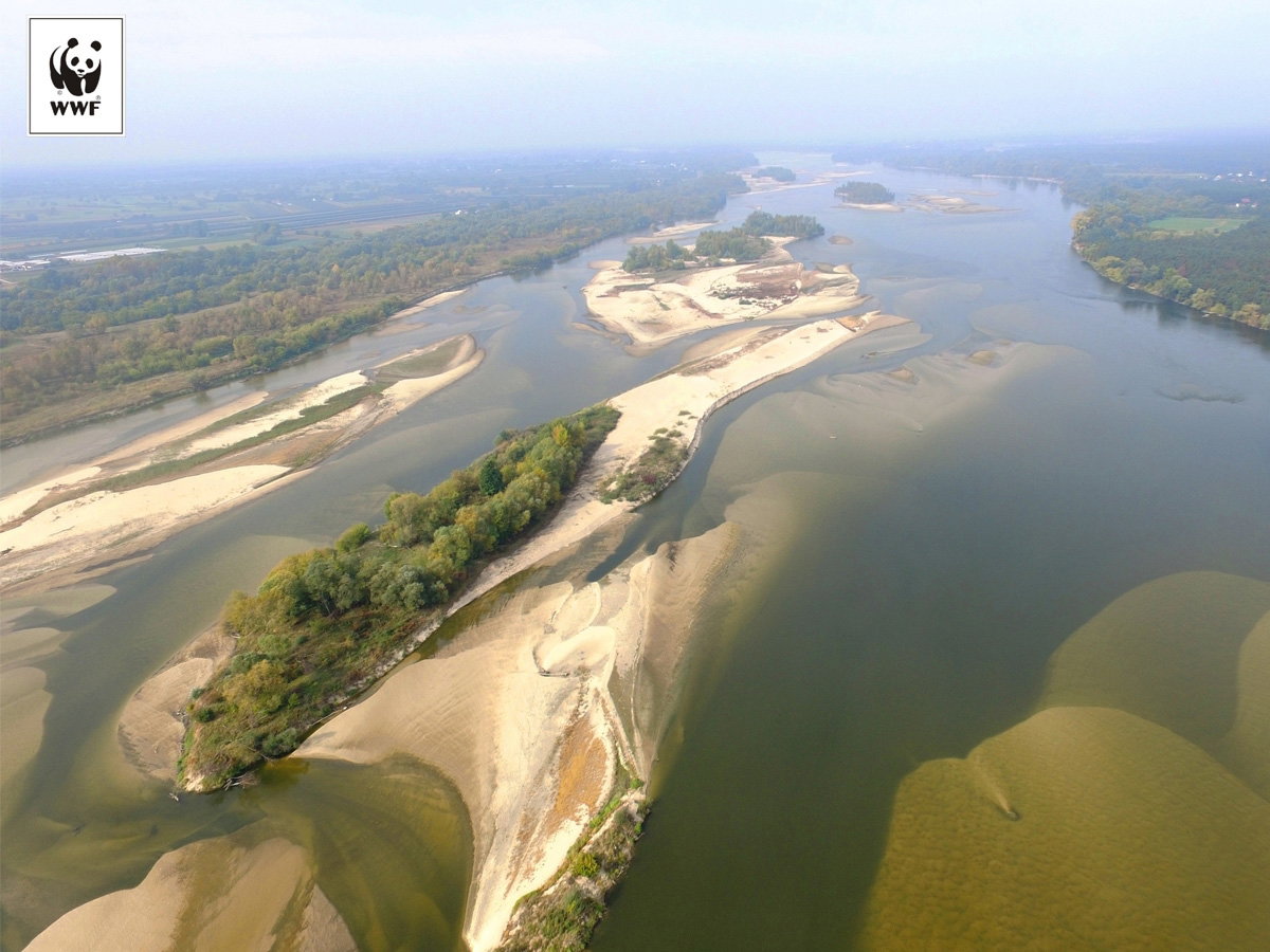 Wisła