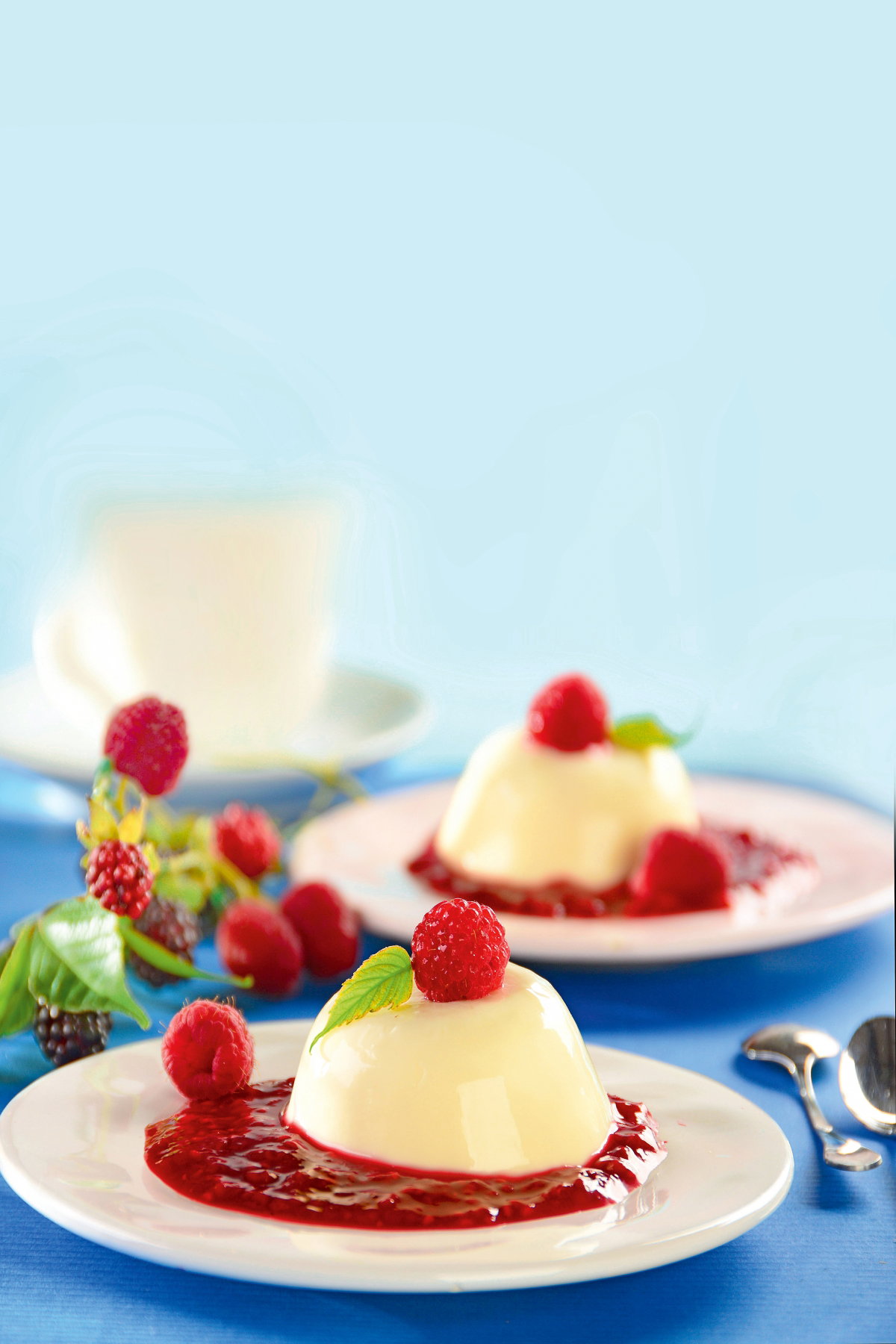 PANNA COTTA: panna cotta z malinami, panna cotta waniliowa