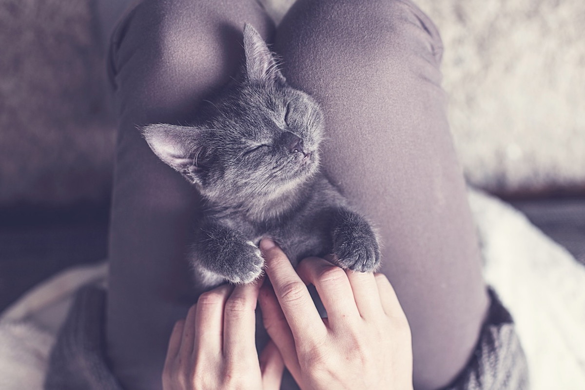 kobieta z kotem