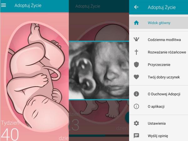 adoptuj-zycie-2407756-6397be5