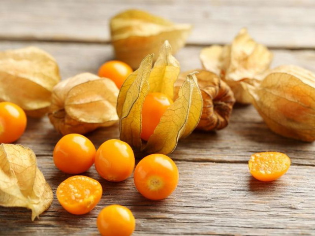 warzywa-psiankowate-physalis-2474870-857118f