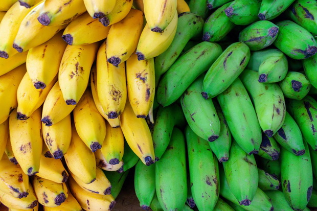 roznica-w-kalorycznosci-bananow-dojrzalych-i-zielonych-2479529-e4b5c8f