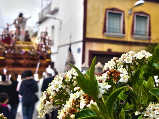 wielkanoc-w-meksyku-semana-santa-2481336-a403569