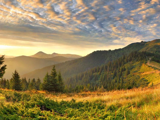 przyslowia-pogodowe-na-sierpien-2487110-817d5f4