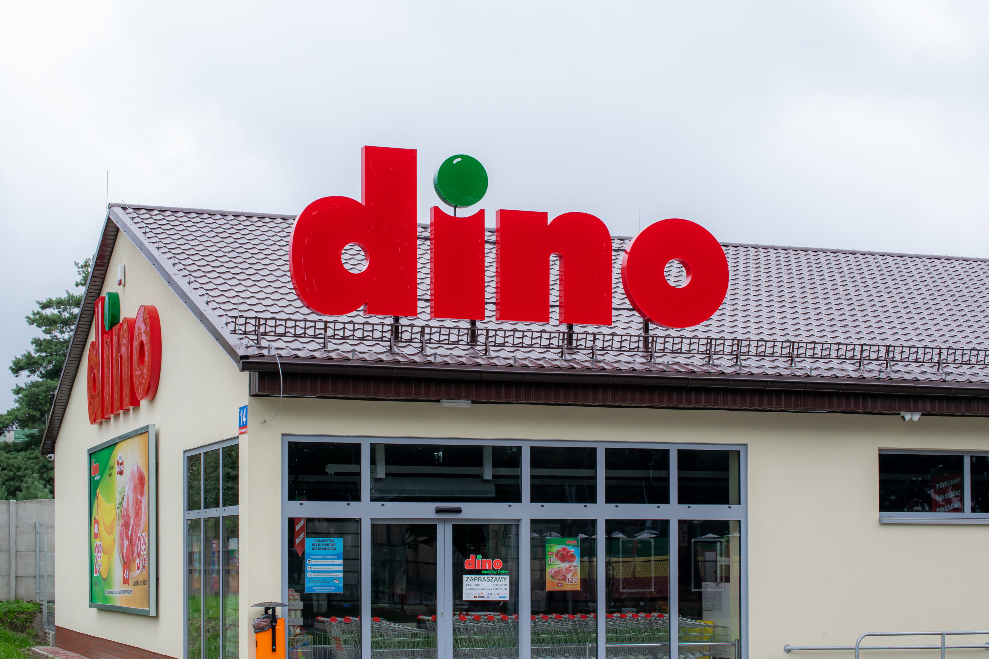 Praca w Dino